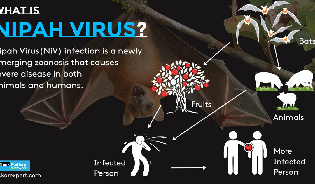 Nipah Virus: What is Nipah Virus, Symptoms & Nipah Virus precautions