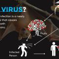 What is Nipah Virus, Symptoms & Nipah Virus precautions