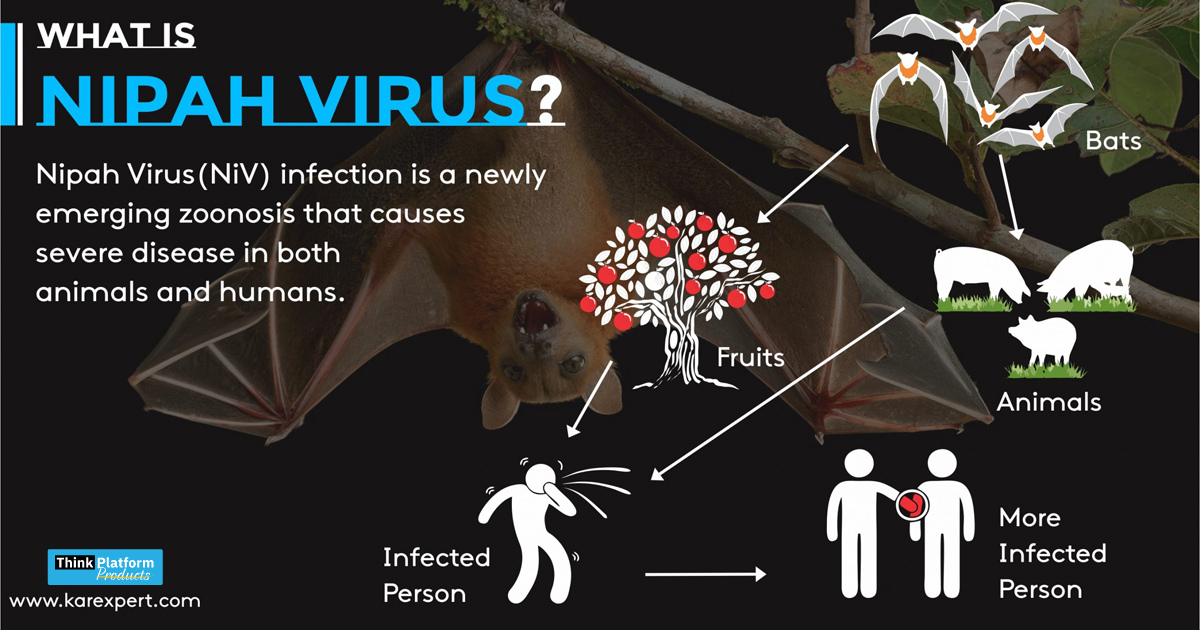 What is Nipah Virus, Symptoms & Nipah Virus precautions